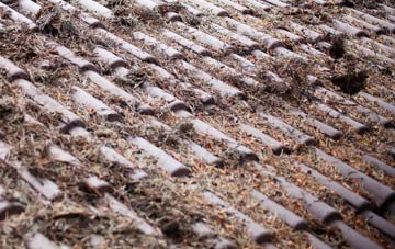 Little Gransden roof cleaning companies