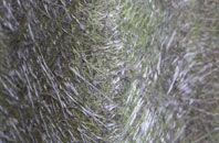 Little Gransden fibreglass roof work